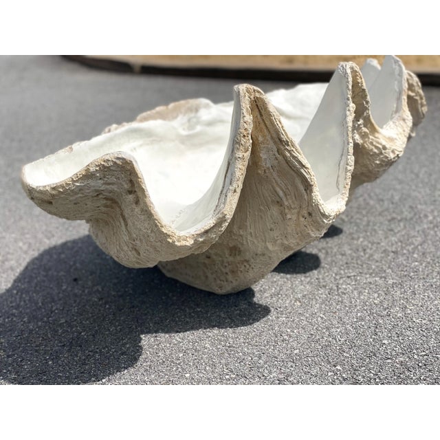 Oly Studio Contemporary Oly Studio Lomobok Large Resin Clam Shell For Sale - Image 4 of 9
