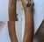 Antique Oval Oak Beveled Wall Mirror – Late Victorian / Edwardian – Carved Crest For Sale - Image 9 of 11