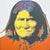 Mid-Century Modern After Andy Warhol, Geronimo, 1980s, Lithograph For Sale - Image 3 of 7