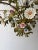 Huge Italian Tole Porcelain Flowers Polychrome Chandelier, Circa 1890 Bouquet For Sale - Image 9 of 14