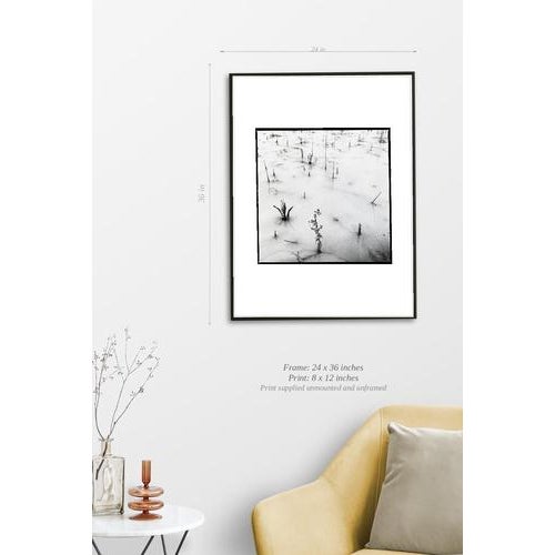 Fine art Giclee prints on Hahnemuhle Photo Rag 308gsm - a 100% cotton, acid-free, mould-made paper. Printed to Fine Art...