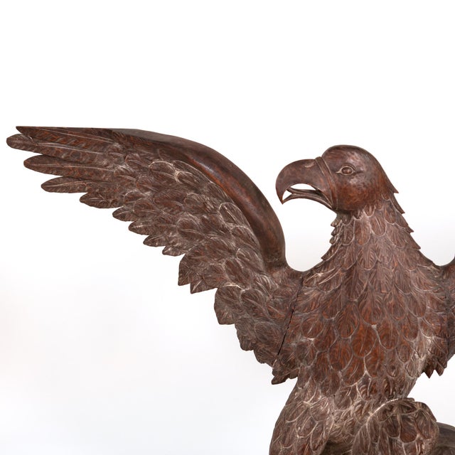 Brown Large-Scale Carved Oak Eagle, Spain, Circa 1900 For Sale - Image 8 of 14