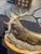 Traditional 1980s Original Bronze Elk by Clark Bronson Entitled “Wapiti” 11/75 For Sale - Image 3 of 11