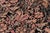 Shabby Chic Shabby Chic 1990's Floral Pak-Persian Black/Red Wool Rug - 9'2'' X 11'10'' For Sale - Image 3 of 9