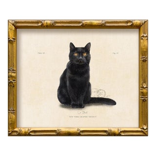 Reproduction Art Print of Vintage “Le Chat" Illustration (Cat 3), Framed For Sale