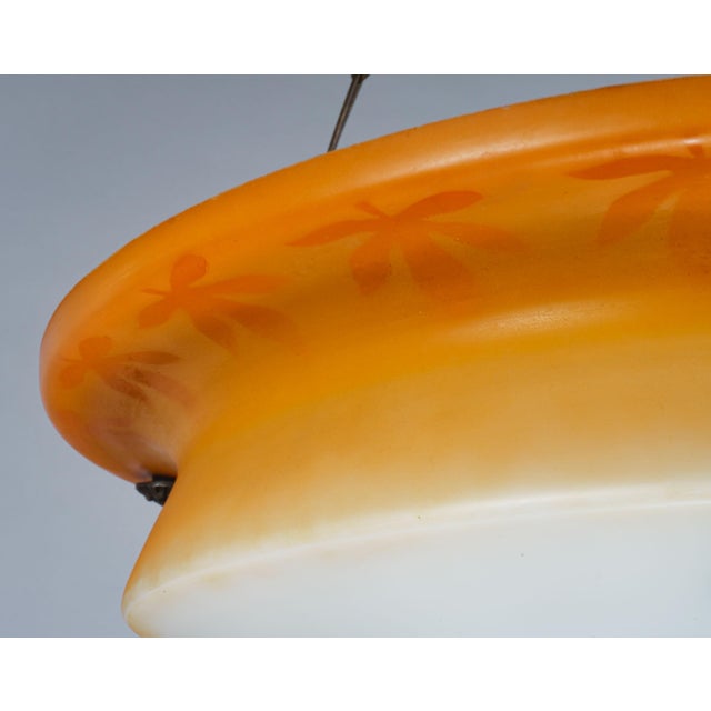 Art Deco Glass Plafonnier or Flycatcher Shade with Parrot Decoration, 1930s For Sale - Image 4 of 6