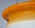 Art Deco Glass Plafonnier or Flycatcher Shade with Parrot Decoration, 1930s For Sale - Image 4 of 6