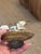 Shell Vintage Shell Art Sailboats, Set of Two For Sale - Image 7 of 8