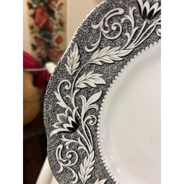 Meakin & Co. 1980s English Staffordshire Meakin Renaissance Dinner Plates - Set of 8 For Sale - Image 4 of 5