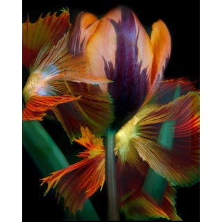 "Kaleidoscope 31" Contemporary Still Life Color Photograph For Sale