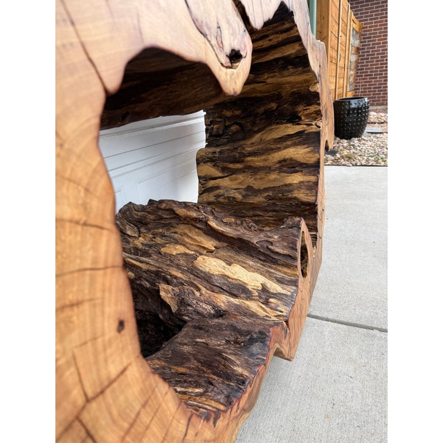 1990s Statement Live-Edge Mango Wood "Window" Slab For Sale - Image 12 of 18