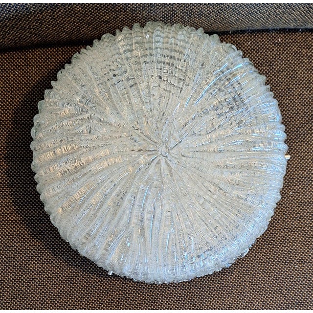 Vintage Ceiling Lamp with Clear Frosted Glass Shade, 1970s For Sale - Image 6 of 7