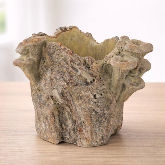Kenneth Ludwig Chicago Faux Tree Stump Cement Planter Container 7.25"H For Sale - Image 4 of 4
