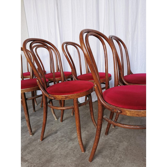 Vintage Bentwood Bistro Chairs, 1970s, Set of 8 For Sale - Image 15 of 18