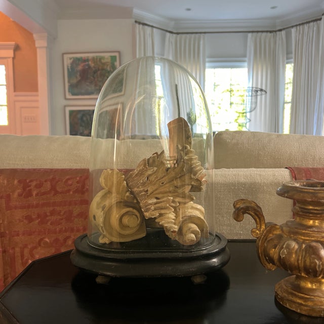 Antique English Glass Oval Dome Cloche With Antique Painted Wood Neoclassical Architectural Fragments For Sale In New York - Image 6 of 6
