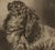 Figurative 19th-Century Engraving After Sir Edwin Landseer, the Pet of the Duchess For Sale - Image 3 of 5