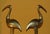 Metal Brass Ibis Sculptures, France, 1960s, Set of 2 For Sale - Image 7 of 12