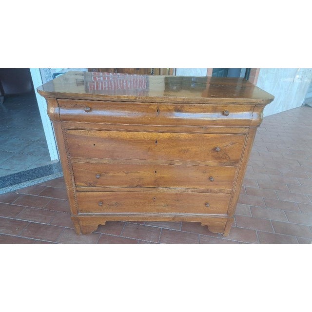 Brown Cappuccino Chest of Drawers in Walnut For Sale - Image 8 of 8