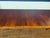 Traditional Scallop Cornered Mahogany Double Pedestal Dining Table by Leighton Hall - Showroom Sample For Sale In Atlanta - Image 6 of 14
