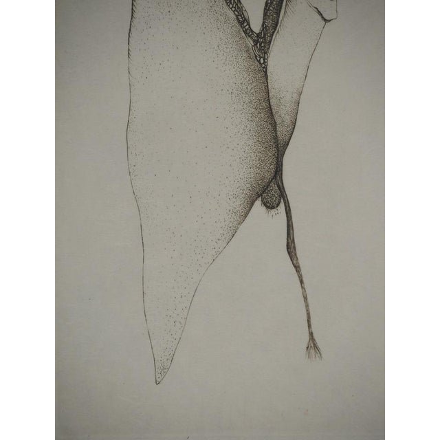 Fred Deux, Relative, Original Engraving For Sale - Image 5 of 6