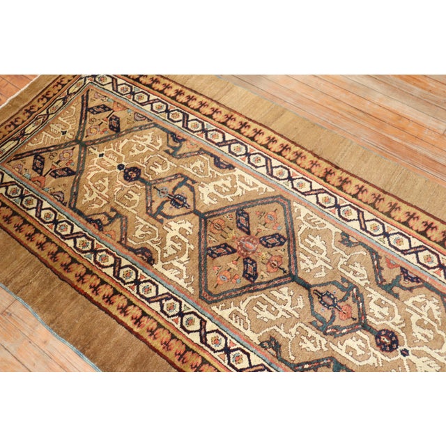 Late 19th Century Camel Hair Runner - 3'8" x 11' For Sale - Image 13 of 18