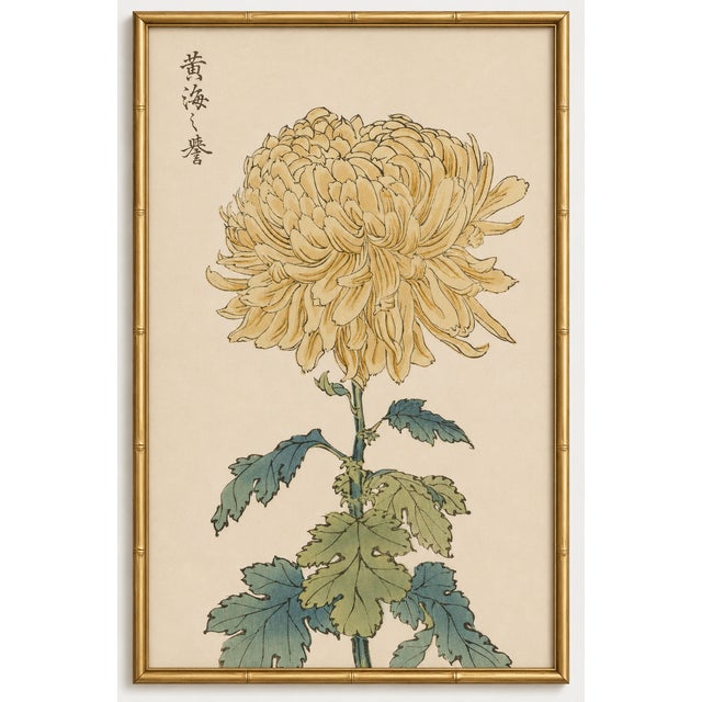 Yellow Mum by Hasegawa, Vintage Japanese Botanical Art Print, 40" X 60" For Sale In Buffalo - Image 6 of 10