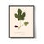 Antique Botanical Set in Oxblood - Set of 8 11" X 14" For Sale - Image 12 of 12