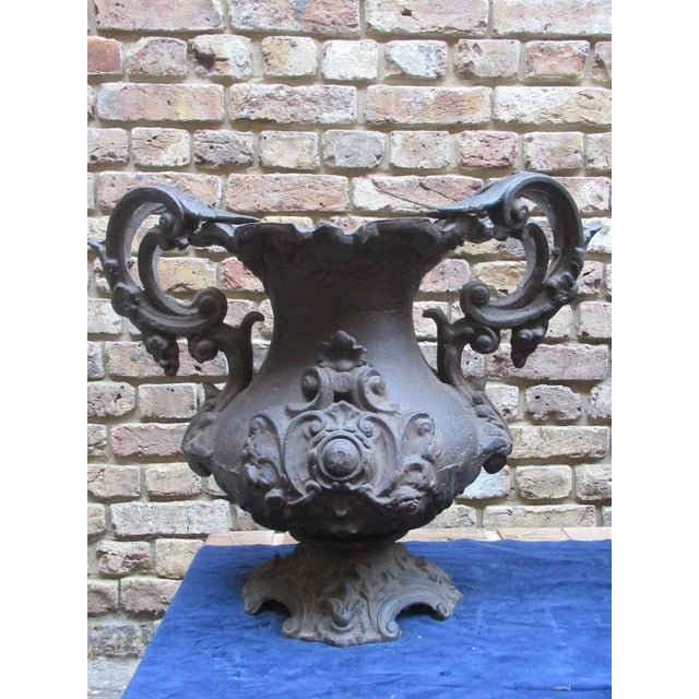 Pair of early 20th century cast iron urns with decorative foliate work and scroll handles. Beautiful shape and detail with...