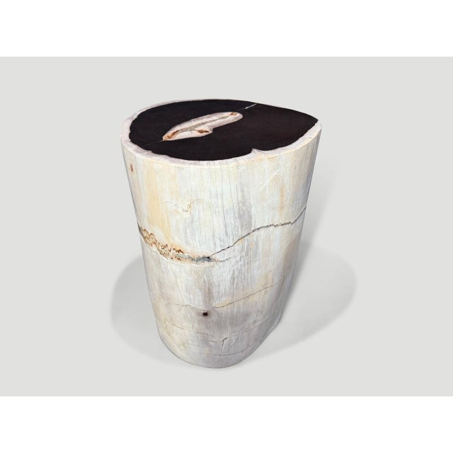 Andrianna Shamaris Black and White Petrified Wood Side Table or Pedestal For Sale In New York - Image 6 of 6