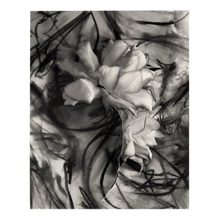 Lily in Charcoal no.3 Abstract Expressionism Photography Edition of 10 2023 For Sale