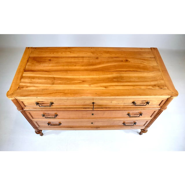 19th Century 19th Century French Directoire Commode in Yew Wood, Neoclassical Style For Sale - Image 5 of 16