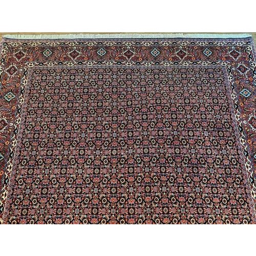 Textile Bidjar Rug in Hand-Knotted Wool For Sale - Image 7 of 11