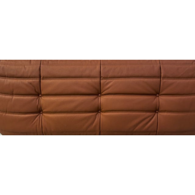 French Togo Sofa in Thick Cognac Cow Leather by Michel Ducaroy for Ligne Roset For Sale - Image 14 of 15