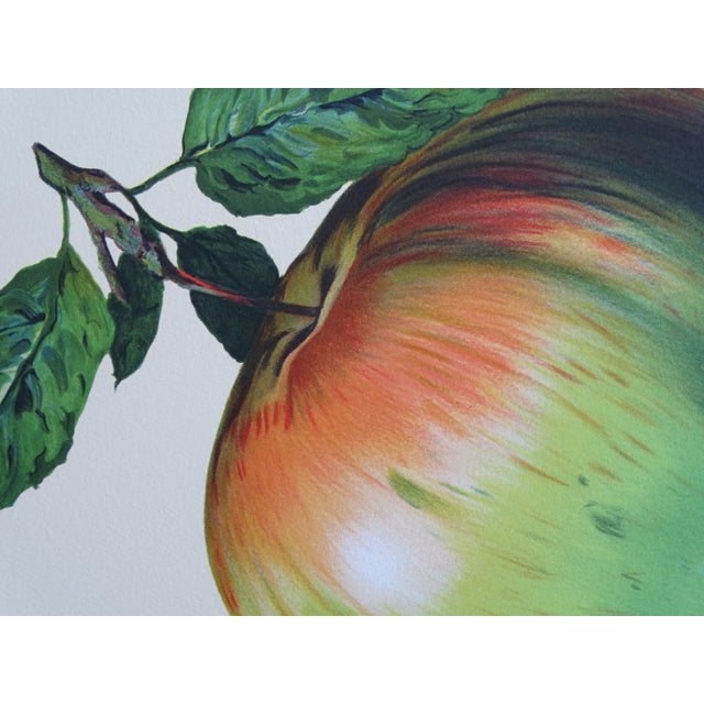 René Magritte, This is not an apple, 2010, Lithograph For Sale - Image 7 of 11
