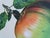René Magritte, This is not an apple, 2010, Lithograph For Sale - Image 7 of 11