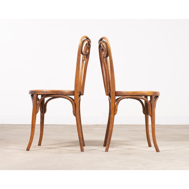1920s Pair of J & J Kohn Thonet Bentwood Cane Viennese Café Chairs For Sale - Image 5 of 17
