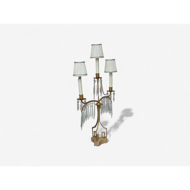 Neoclassical, Dore Bronze, Crystal, Marble, Table Lamps, 19th Century For Sale In New York - Image 6 of 9