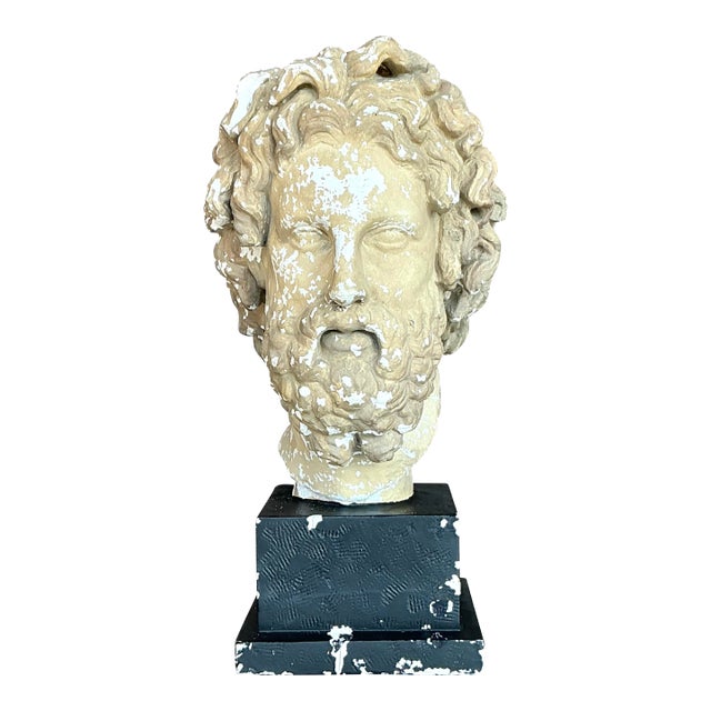 Mid 20th Century Vintage Grand Tour Plaster Bust of Man For Sale