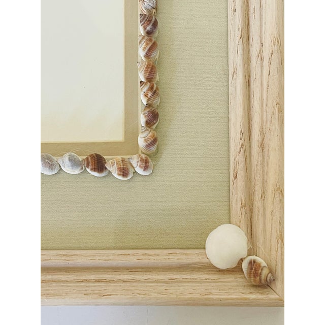1960s Vintage Sea Shell Framed Chromolithographs With Shell Encrusting Birder Reproduction - Set of 3 For Sale - Image 5 of 5