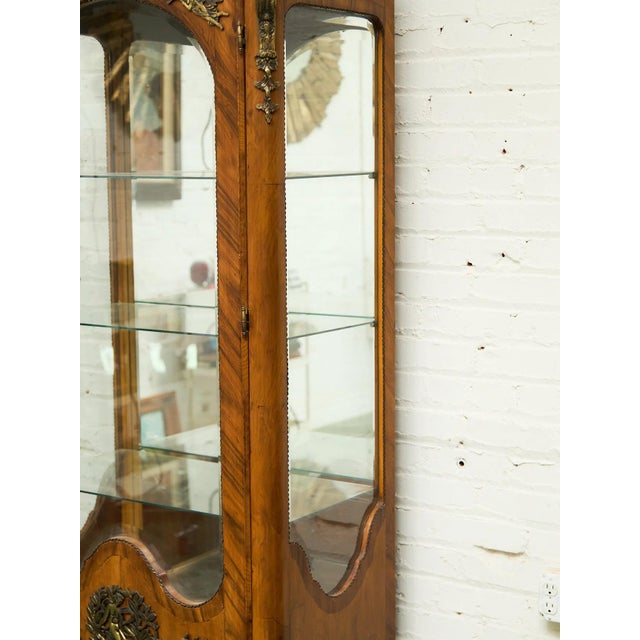 Late 19th Century Georgian Art Deco Glass Display Curio For Sale - Image 4 of 12