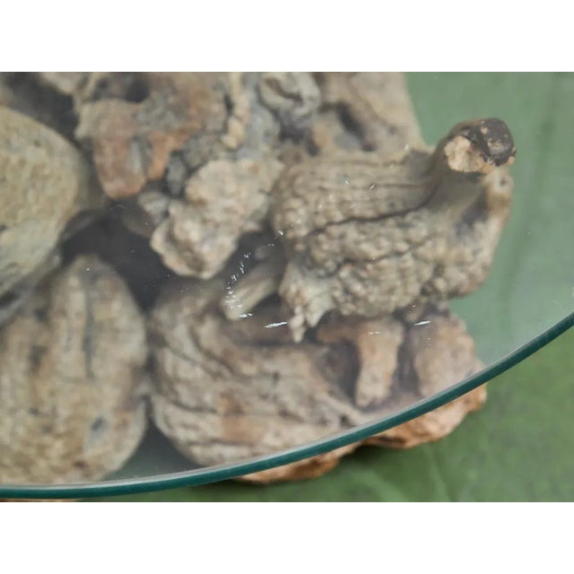 Petrified 1960s Brown Wood Coffee Table Glass Top For Sale - Image 10 of 11