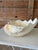 Organic Modern Coastal Clam Shell Vessel For Sale In Naples, FL - Image 6 of 12