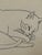 "Sleeping Cat" Line Drawing by Jerry O'Day (Geraldine Heib) For Sale In Los Angeles - Image 6 of 6