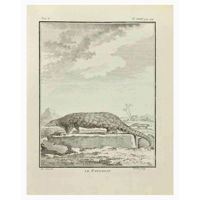 Le Pangolin is an etching realized by Juste Chevillet in 1771. It belongs to the suite "Histoire Naturelle de Buffon". The...
