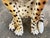 Vintage Italian Capodimonte Ceramic Cheetah Sculpture For Sale - Image 9 of 10