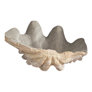 Faux Plaster Decorative Clam Shell For Sale