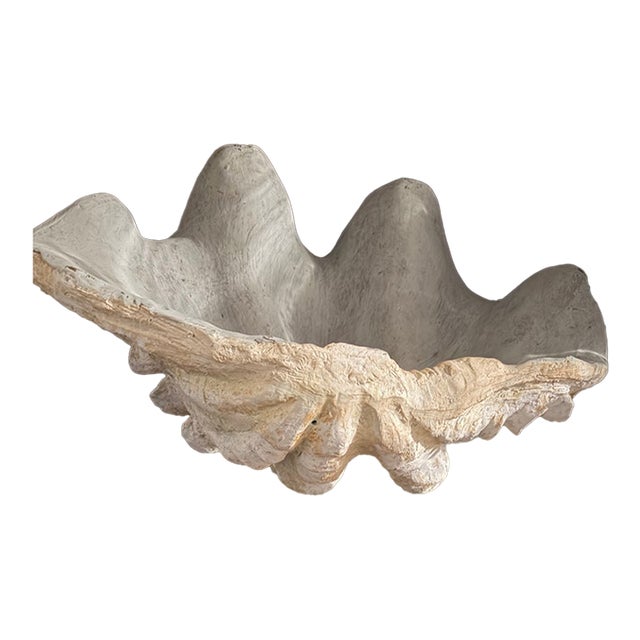 Faux Plaster Decorative Clam Shell For Sale