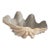 Faux Plaster Decorative Clam Shell For Sale