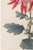 Pink Chrysanthemum by Hasegawa, Vintage Japanese Botanical Art Print, 16" X 24" For Sale - Image 4 of 8