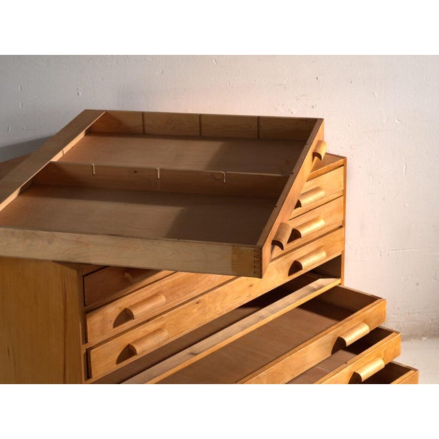 Plan Chest in Beech, Central Europe, 1950 For Sale - Image 9 of 14